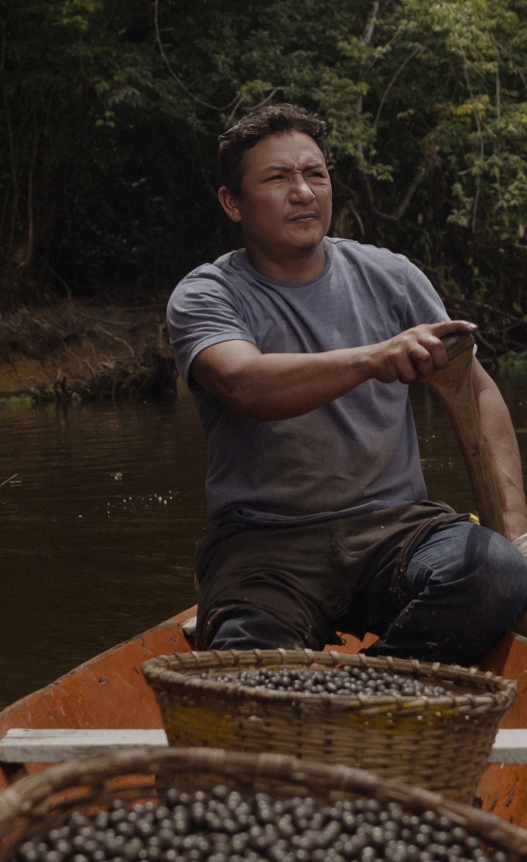 Recolector en una canoa con canastos de açaí recién cosechado